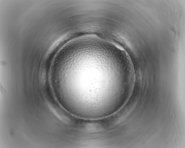 X0000091240400200708091439