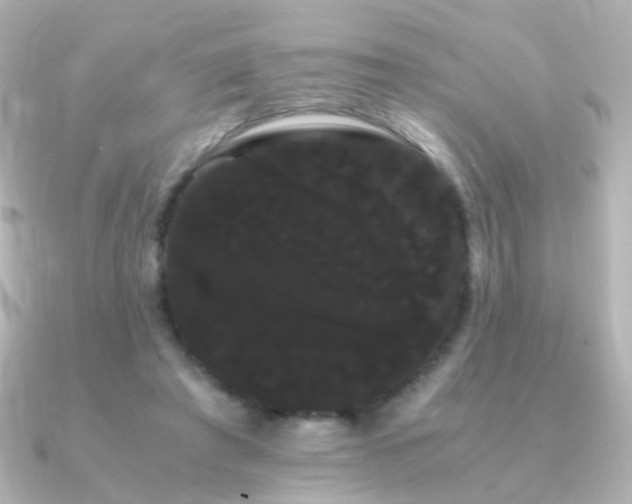 X0000091240401200708091439