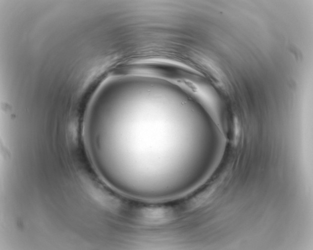 X0000091240404200708091439