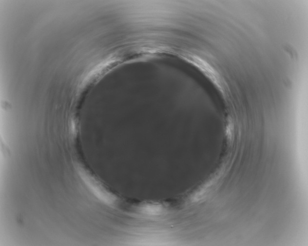 X0000091240405200708091439