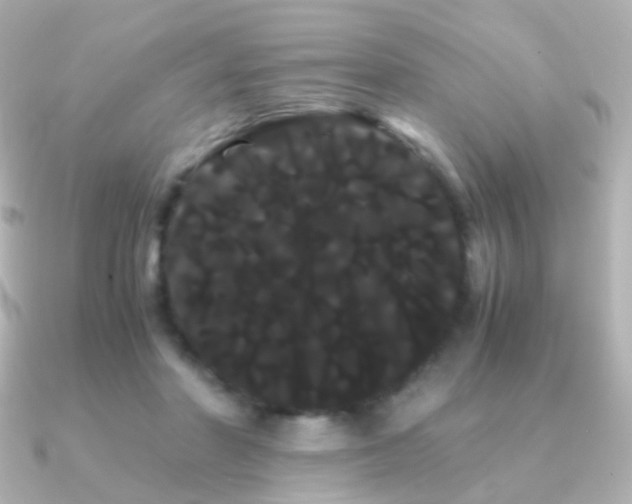 X0000091240406200708091439
