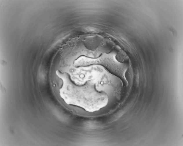 X0000091240408200708091439