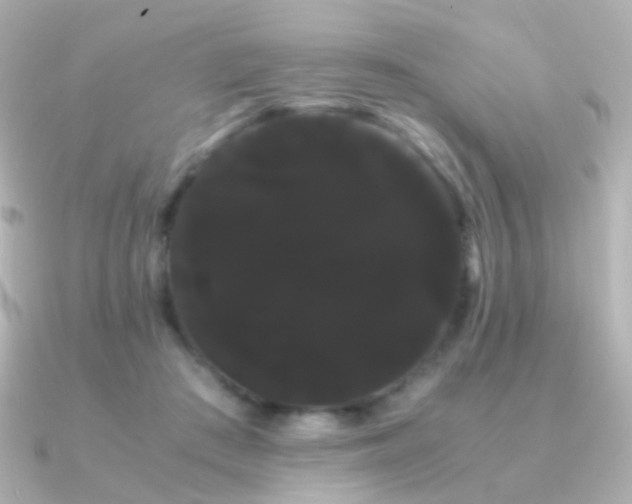 X0000091240409200708091439
