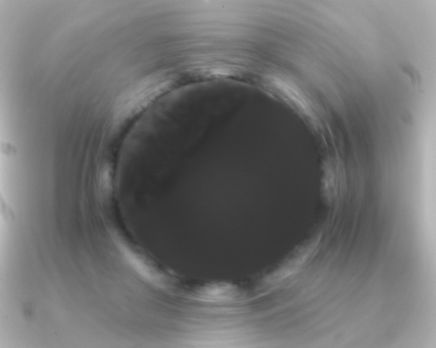 X0000091240410200708091439