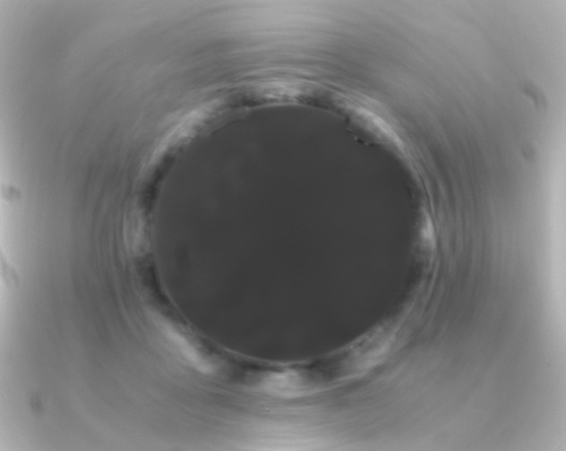X0000091240411200708091439