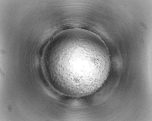 X0000091240412200708091439