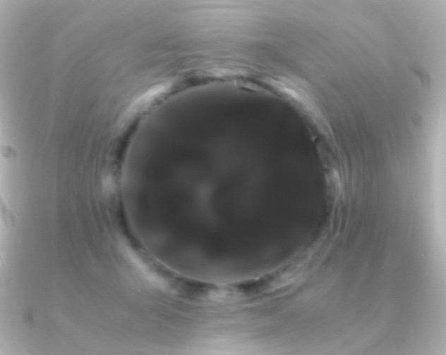 X0000091240415200708091439