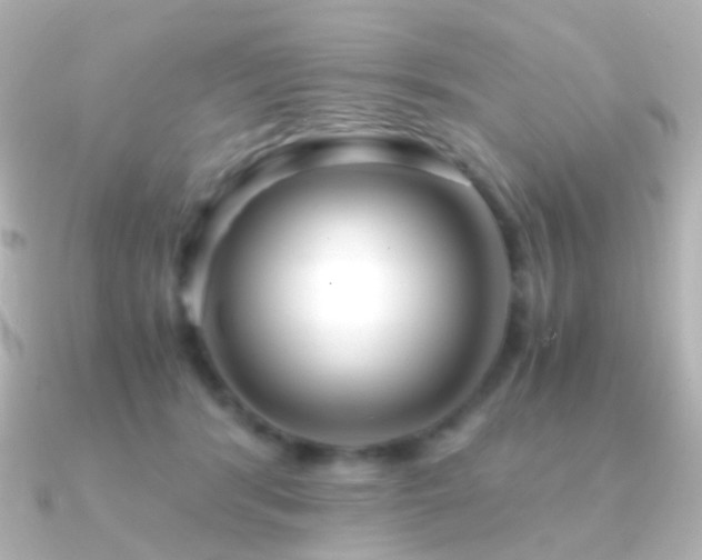 X0000091240416200708091439