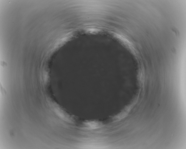 X0000091240417200708091439