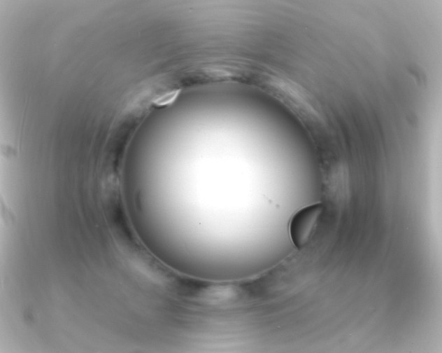 X0000091240418200708091439