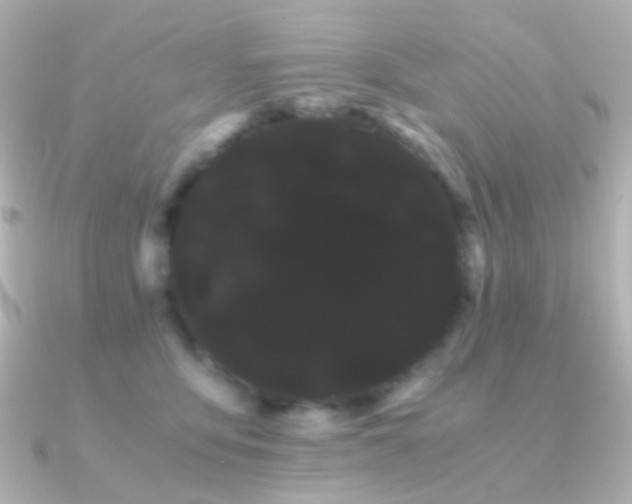 X0000091240419200708091439