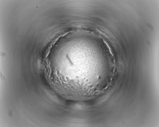 X0000091240420200708091439
