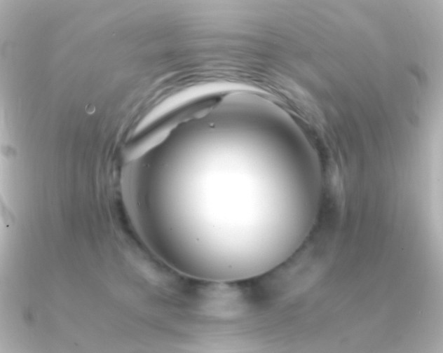 X0000091240421200708091439