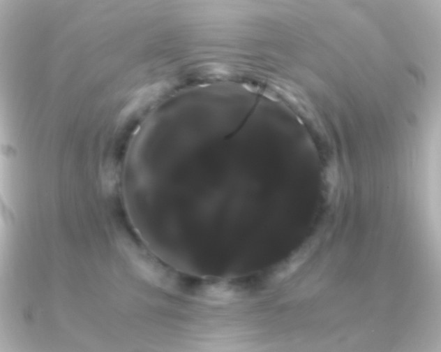 X0000091240423200708091439