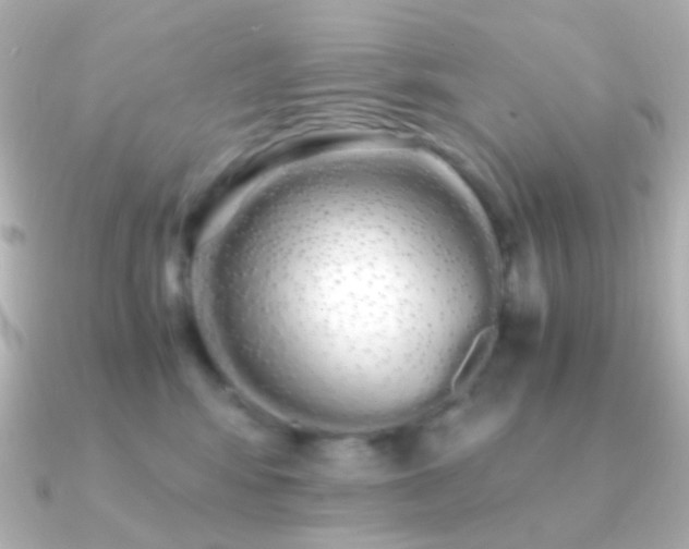 X0000091240424200708091439