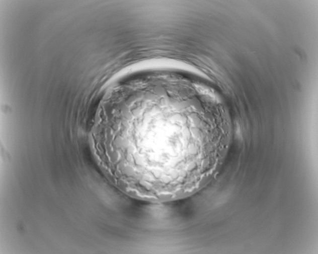 X0000091240425200708091439