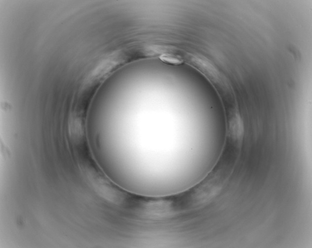 X0000091240426200708091439