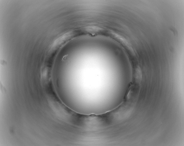 X0000091240428200708091439