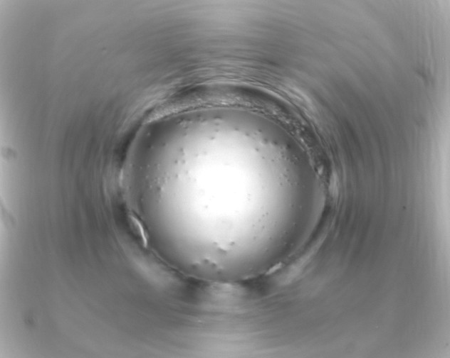 X0000091240429200708091439