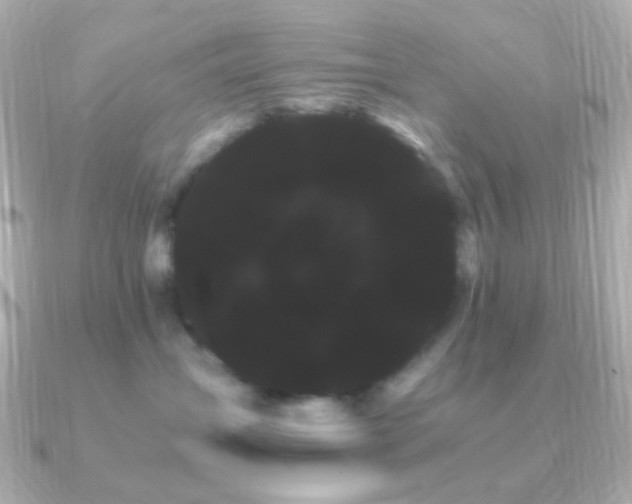 X0000091240431200708091439
