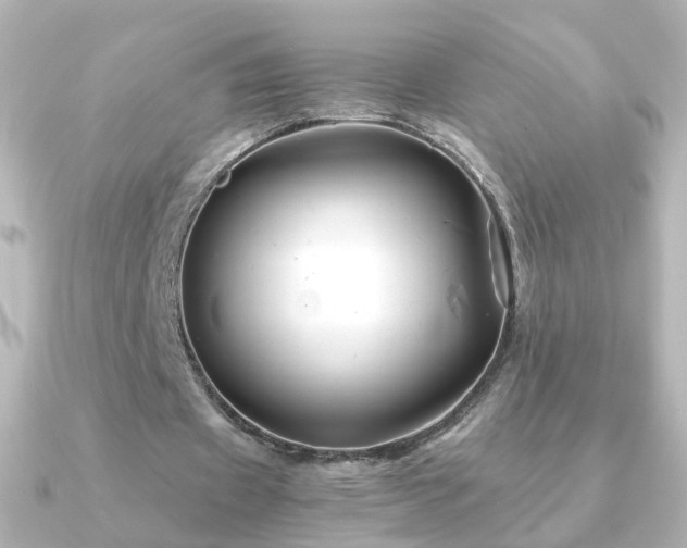 X0000091240433200708091438