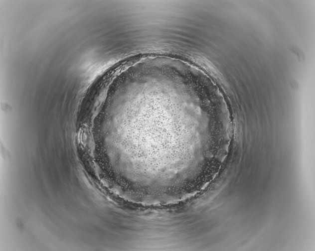 X0000091240434200708091438