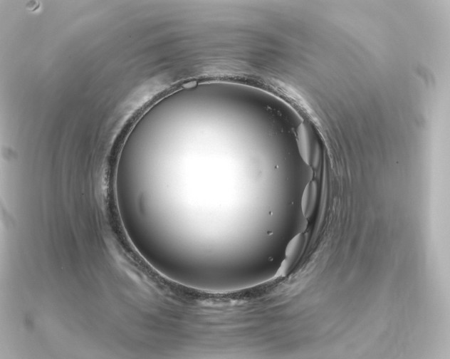 X0000091240435200708091438