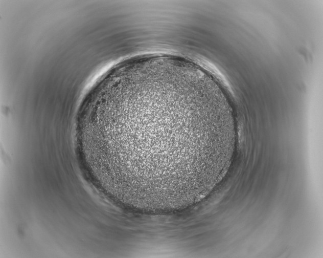 X0000091240436200708091438