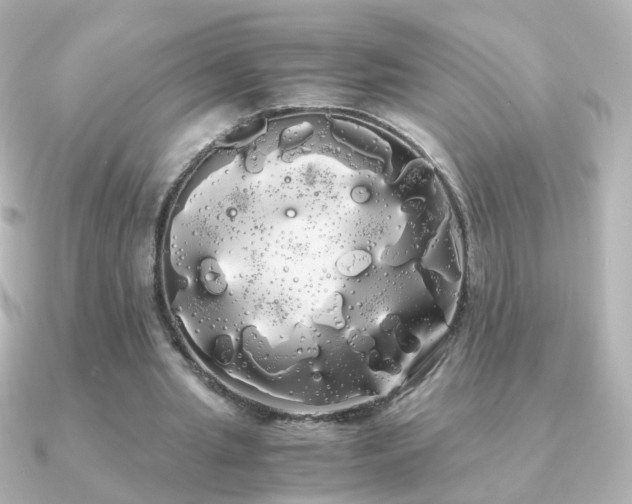 X0000091240437200708091438