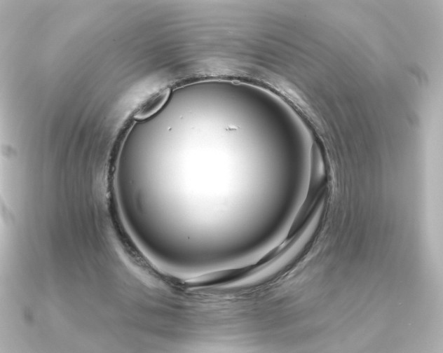X0000091240438200708091438