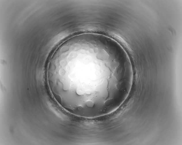 X0000091240439200708091438