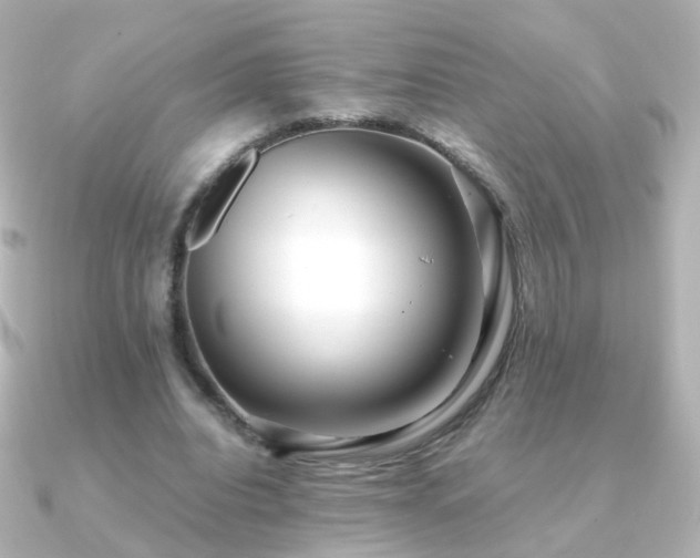 X0000091240440200708091438