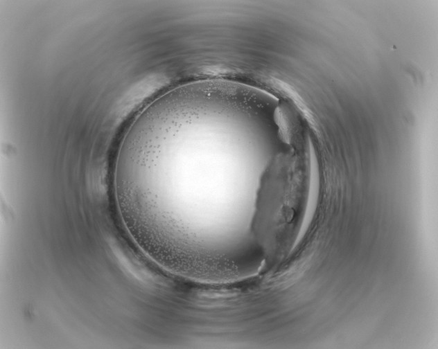 X0000091240443200708091438