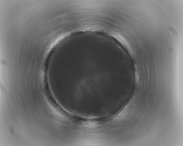 X0000091240444200708091438