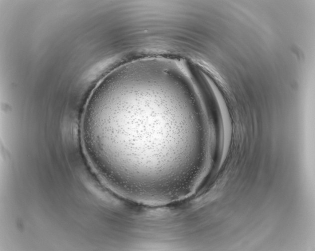 X0000091240446200708091438