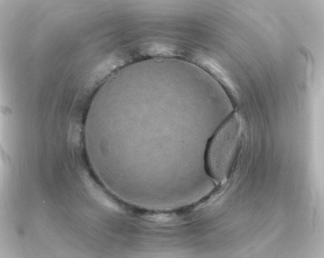 X0000091240449200708091438