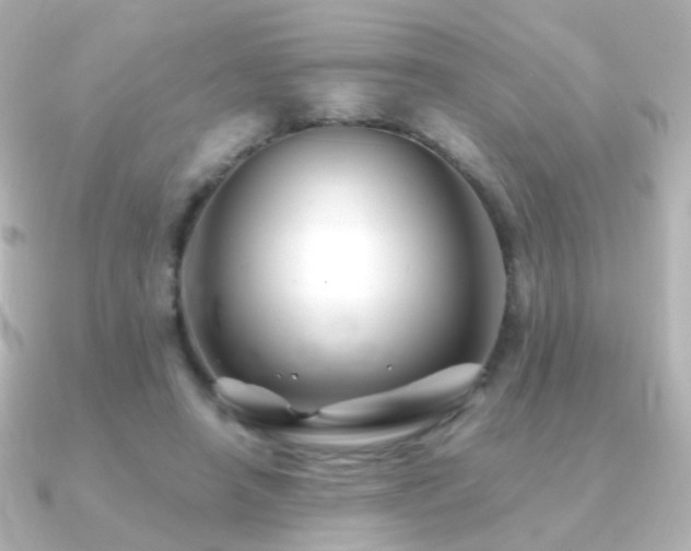 X0000091240450200708091438