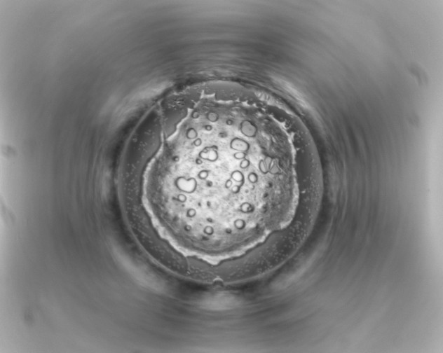 X0000091240451200708091438