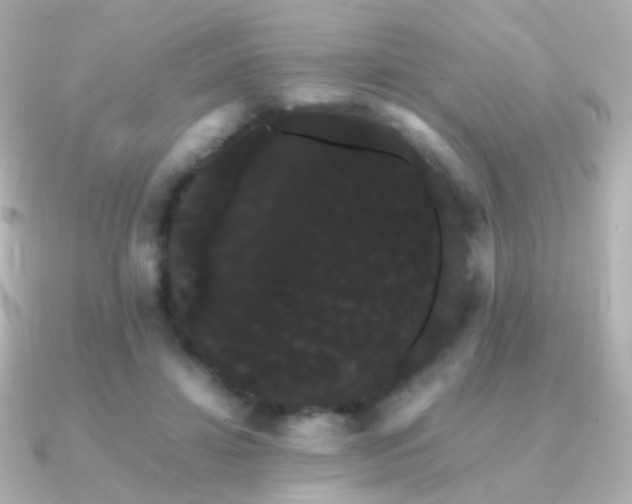 X0000091240452200708091438