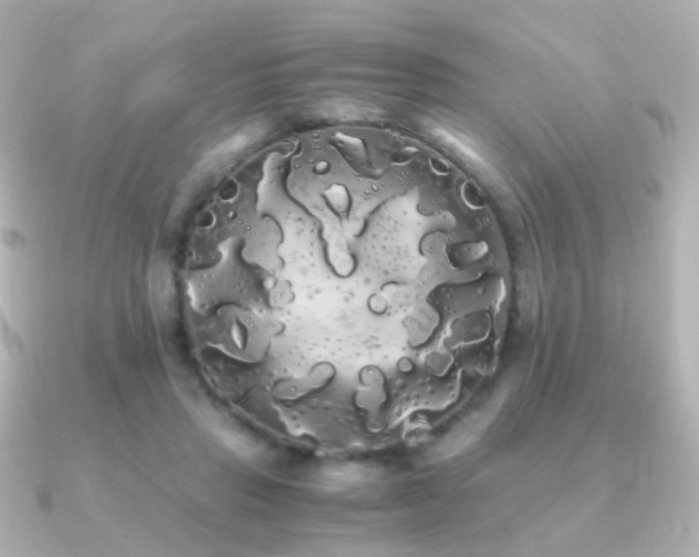 X0000091240453200708091438