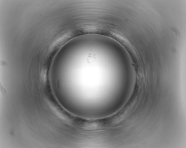 X0000091240454200708091438