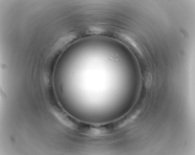 X0000091240455200708091438