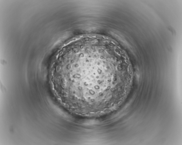 X0000091240458200708091438
