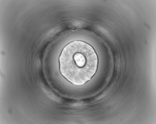 X0000091240459200708091438