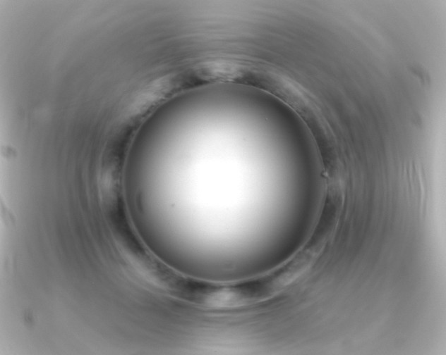 X0000091240460200708091438