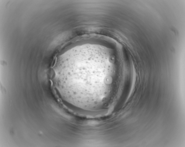 X0000091240462200708091438