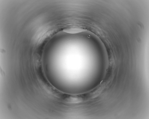 X0000091240464200708091438