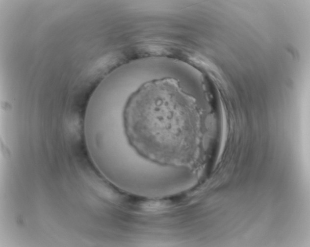 X0000091240465200708091438