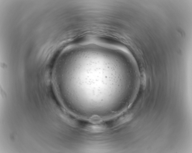 X0000091240466200708091438