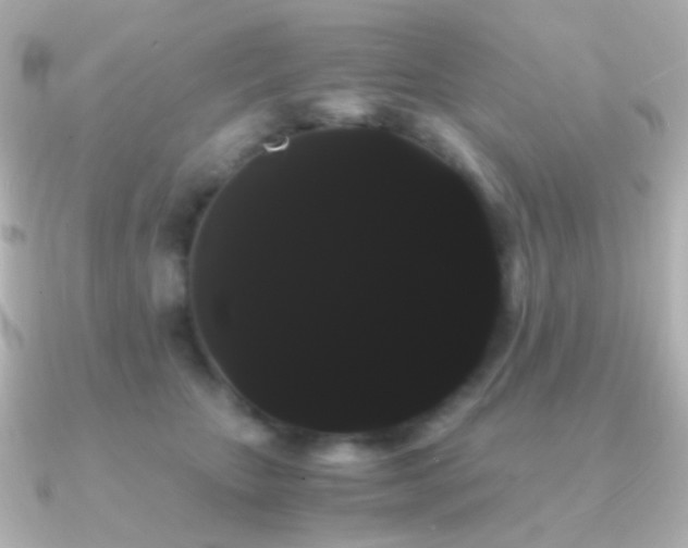 X0000091240467200708091438
